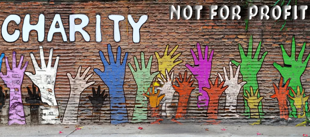 Non Profit vs. Charity